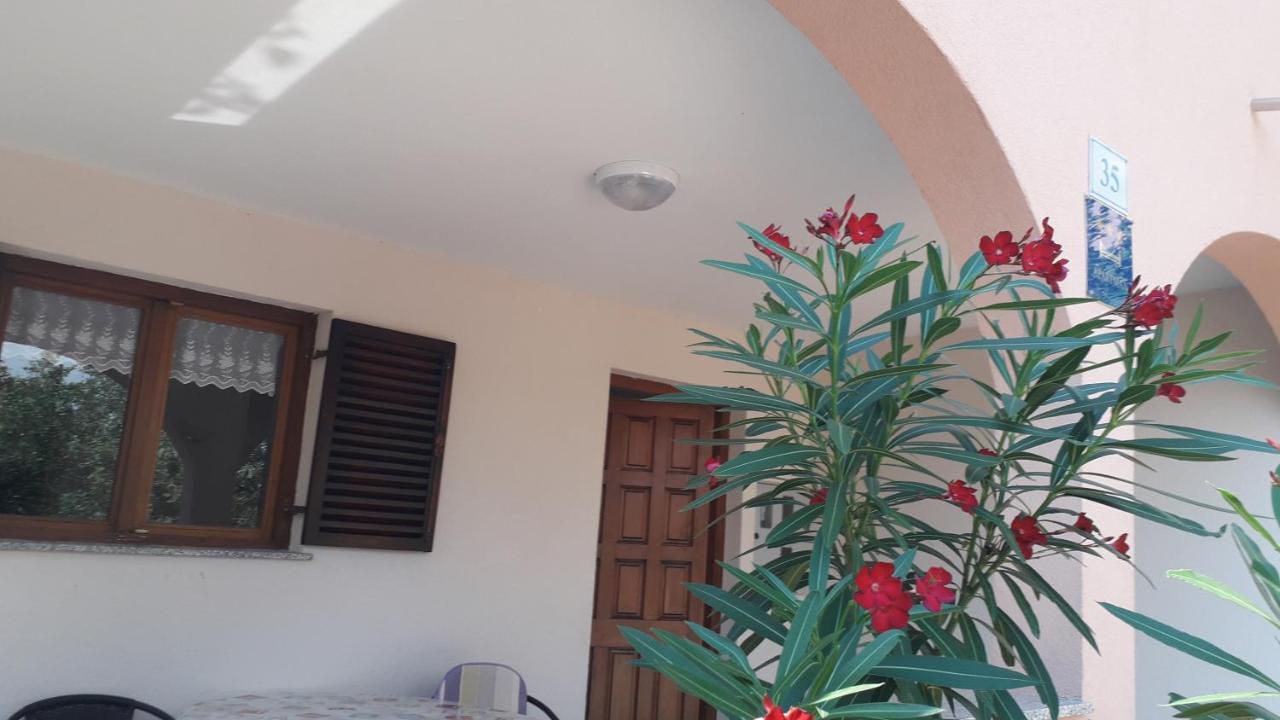 Apartmani Mia Ližnjan Εξωτερικό φωτογραφία